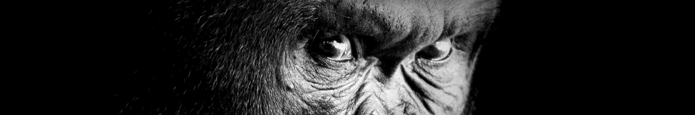 Gorilla vs 100 men feature image
