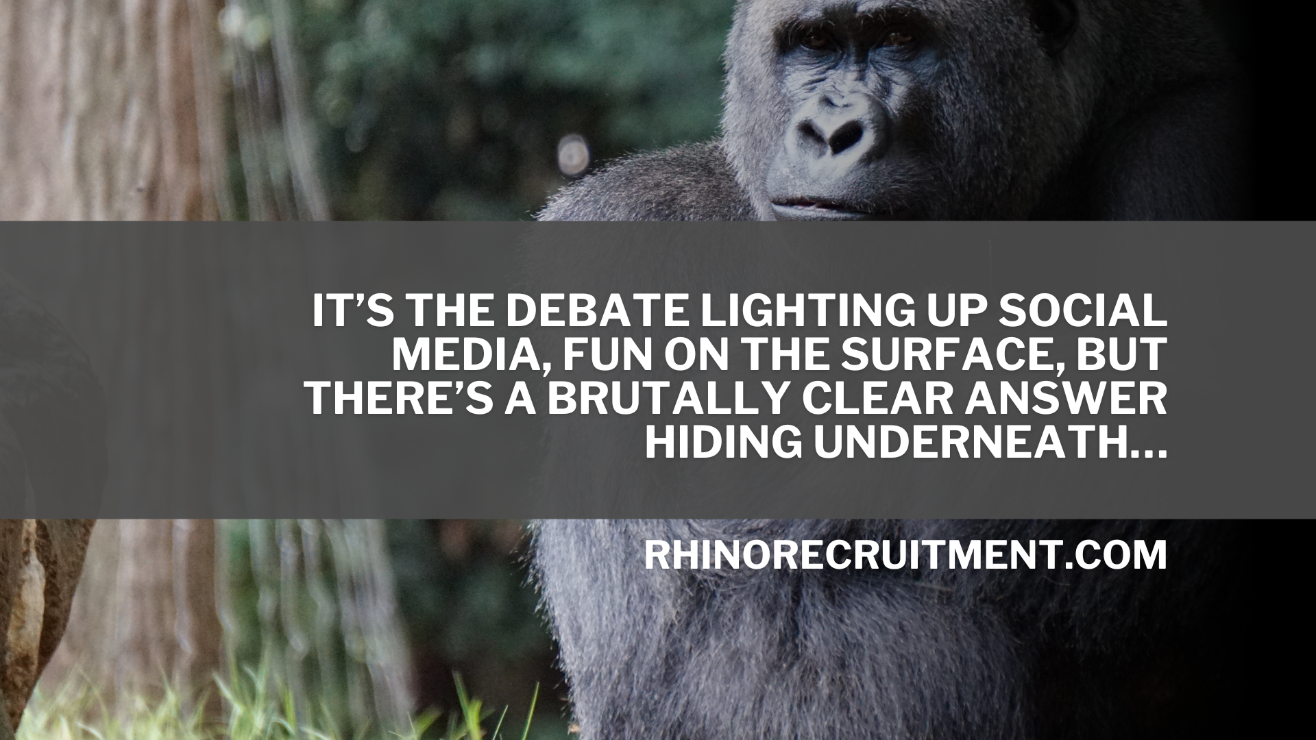 The Gorilla vs. 100 Men: A Brutal Truth About Recruitment